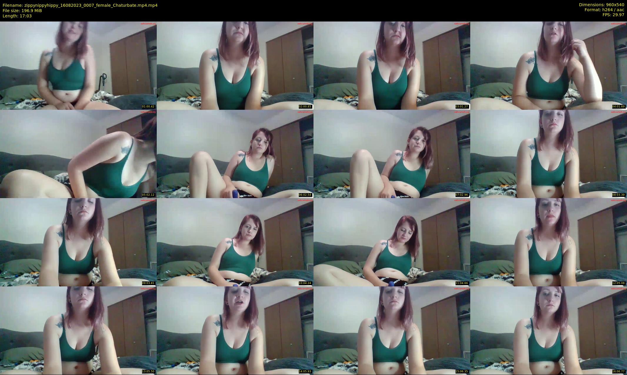 zippynippyhippy — 18 minute Chaturbate Female webcam recording, Aug 15, 2023
