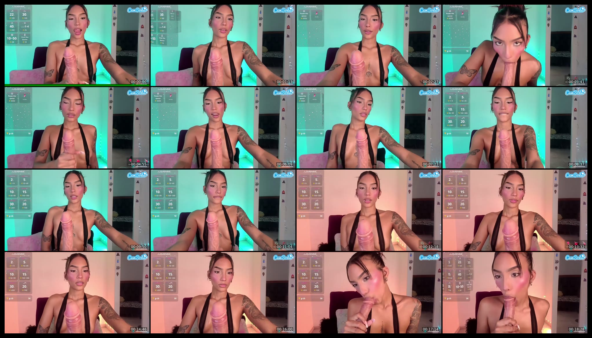 sbeltran1